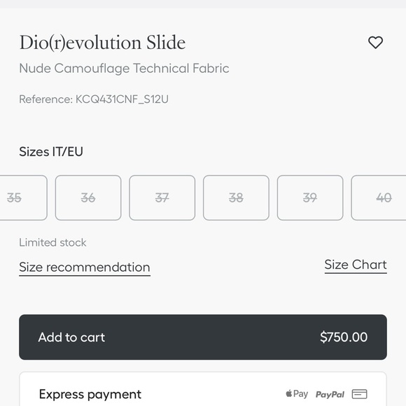 Dior Revolution Slides - Picture 5 of 14